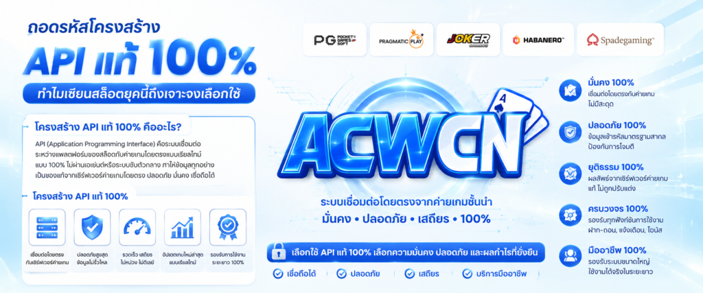 ถอดรหัสโครงสร้าง API แท้ 100% คืออะไร ทำไมเซียนสล็อตยุคนี้ถึงเจาะจงเลือกใช้​